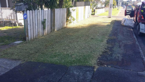 After (1). Stepping Stones Lawns maintenance. Manurewa, Auckland South.  