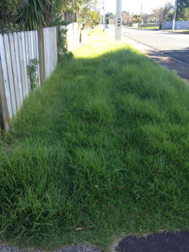 Before (1). Stepping Stones Lawns Berm maintenance. Manurewa, Auckland South.  