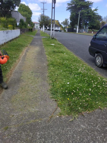 Before (1).Stepping Stones Lawns. Lawn & berm maintenance  Manurewa, Auckland South