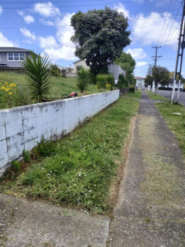 Before (2).Stepping Stones Lawns. Lawn & berm maintenance  Manurewa, Auckland South